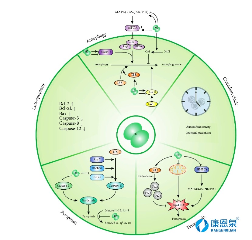 微信截图_20240408153624.png